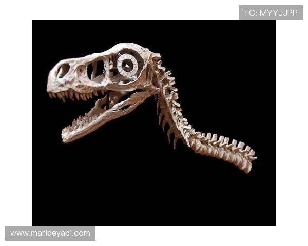 PA扑鱼游戏中常见的作弊风险与防范措施全面解析