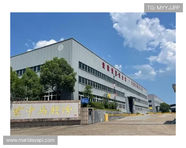 凯发实业有限公司在游戏行业中的创新产品与市场布局详解