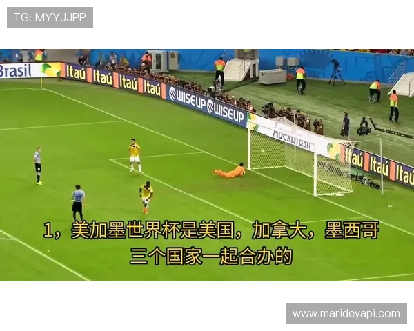 美加墨联合申办世界杯对区域合作与国际关系的积极影响
